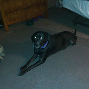 Meet your Posher, Brandon